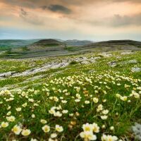 Feel The Burren 2